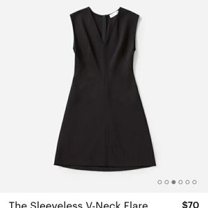Everlane v neck black dress